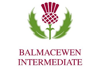 Balmacewen Intermediate